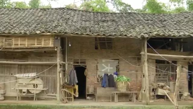 吉林机关单位大楼坍塌事件，深度分析与个人立场观点探讨