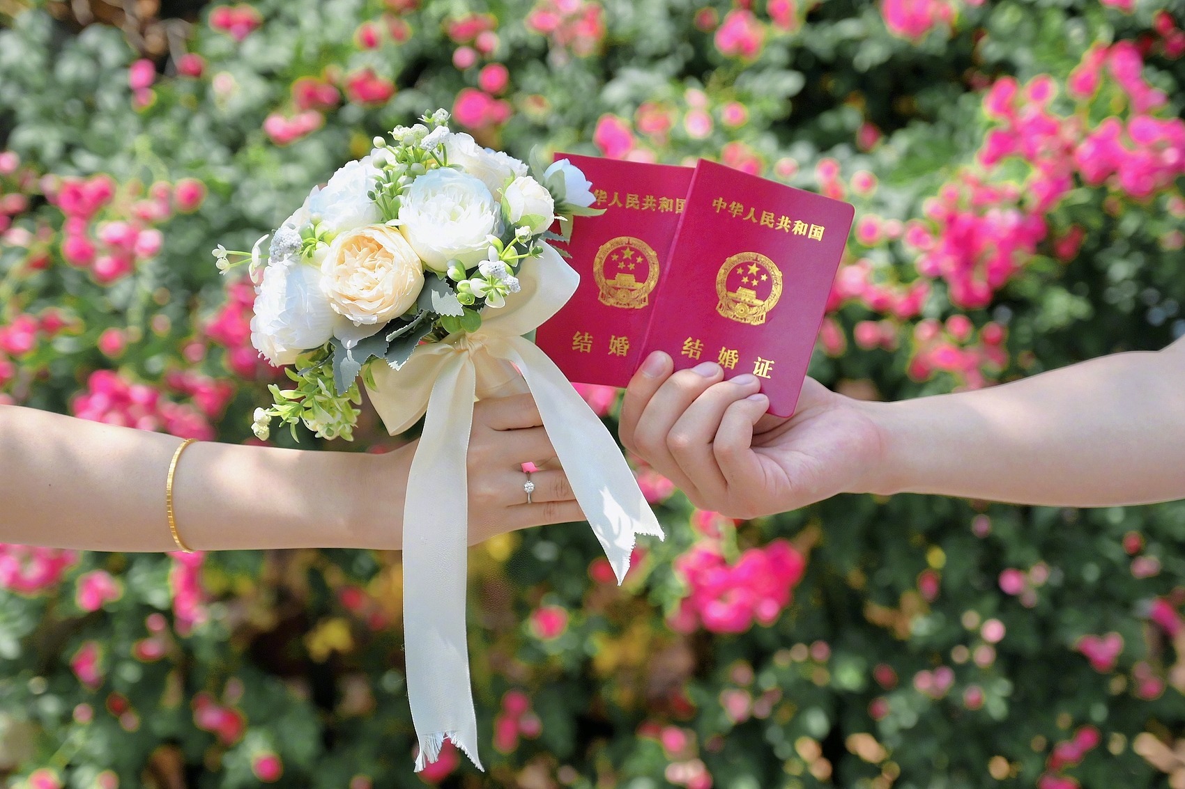 民政部新举措揭秘，公园浪漫婚姻登记与小巷秘密小店探秘之旅开启！