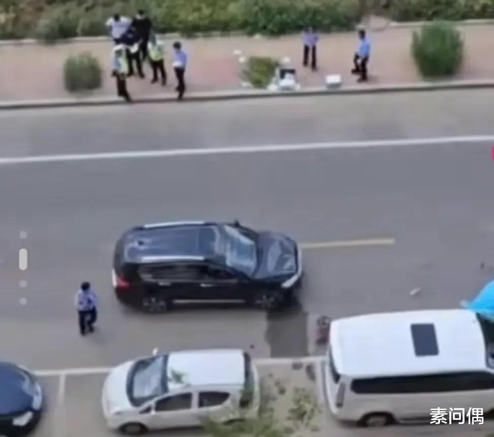 男子辗轧妻子致人死亡案，深度解析与反思的法律探讨