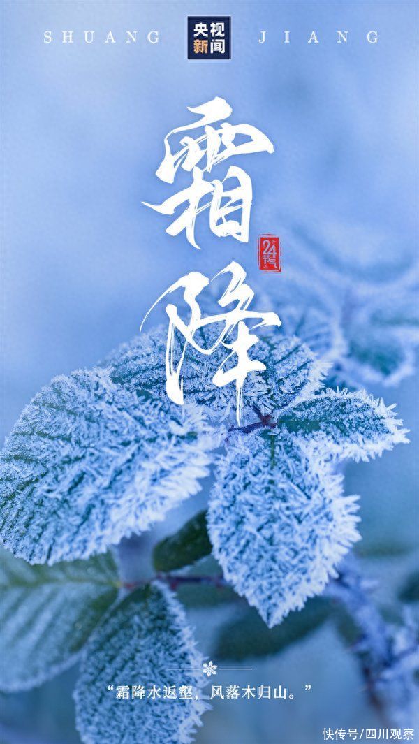 第3879页