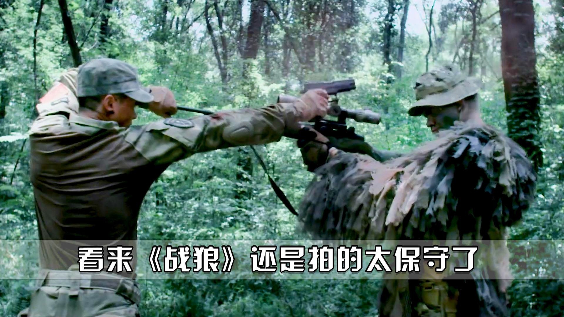 战狼，热血旋律中的保守印记
