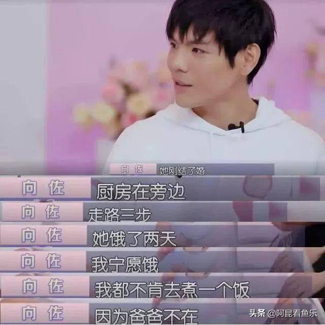 向佐回应头像被误用引发公开对话风波