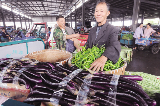 秋季蔬菜盛宴，丰收与充足供应的盛宴
