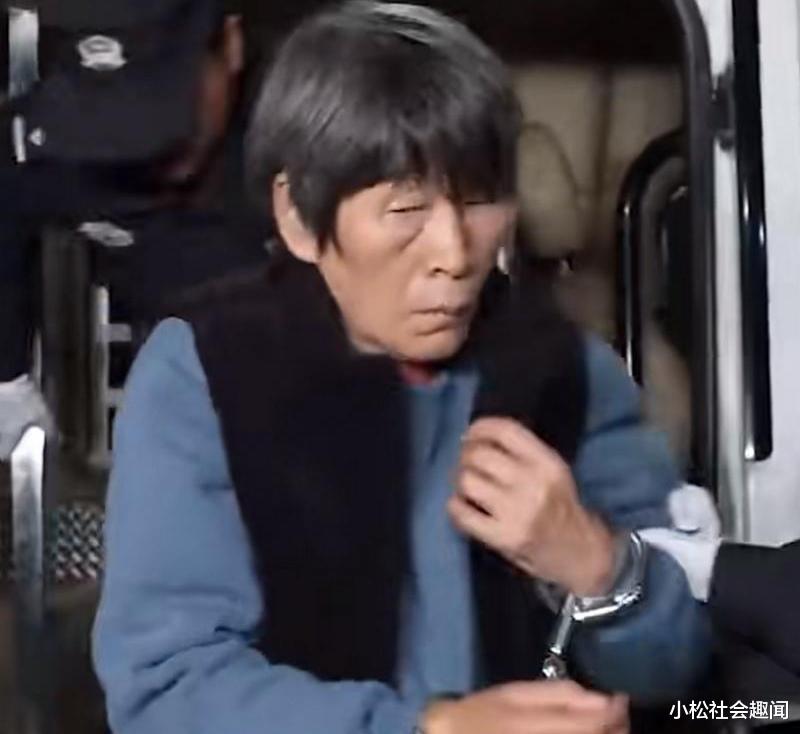 余华英与儿童拐卖案，揭秘背后的真相与论述分析