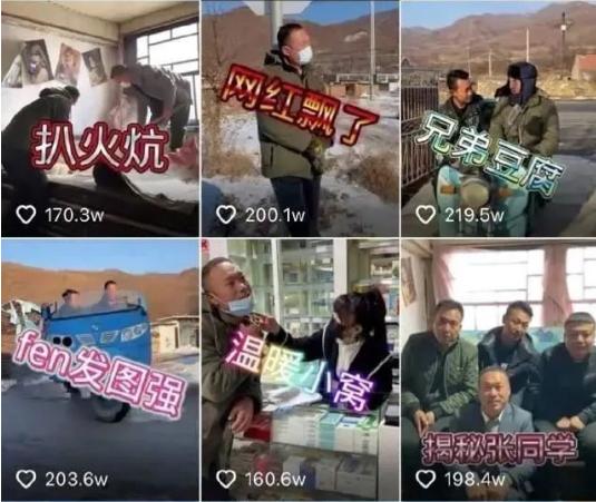 李子柒同名商标注册成功，品牌保护与创新发展的双赢策略探索