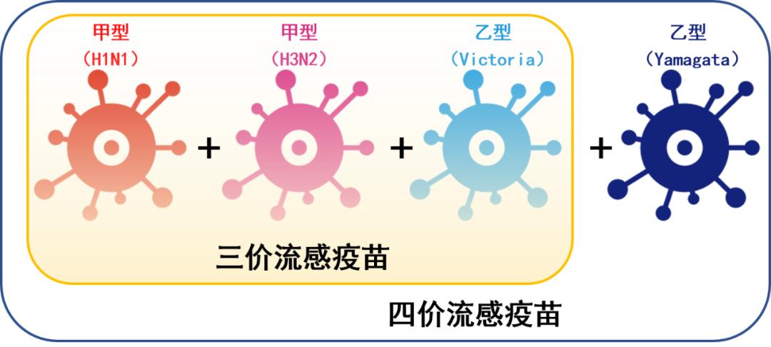流感疫苗价格骤降，三价疫苗仅需6.5元——出游好心情，探索自然美景不受影响！