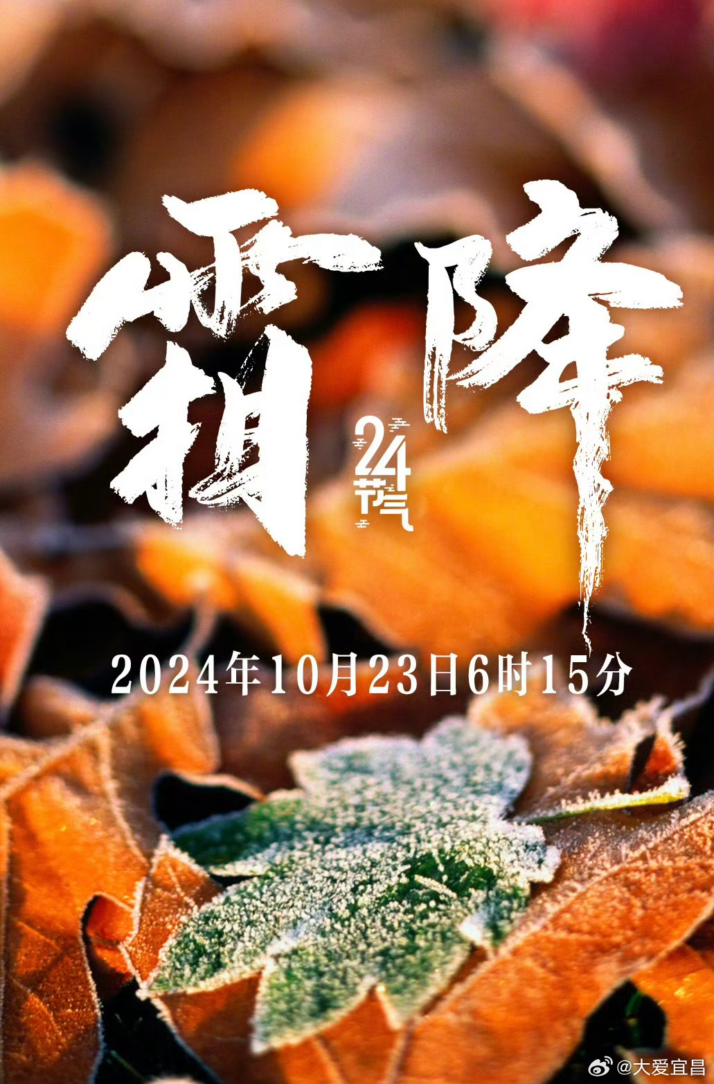 #霜降时节寒意浓#