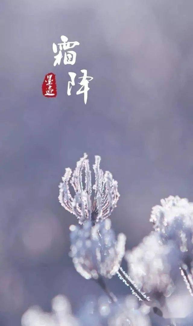 今日霜降，暖阳下的温馨时光