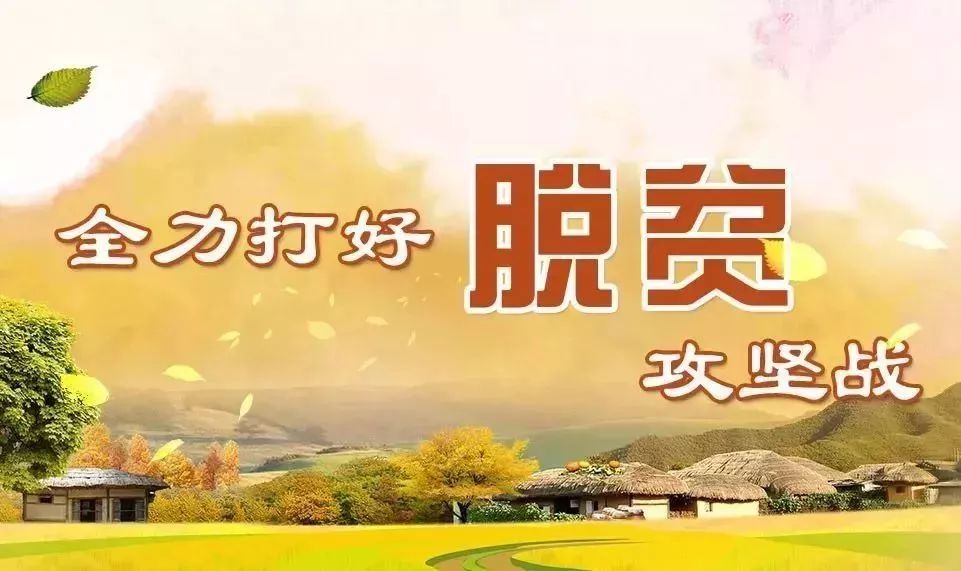 新奥精准免费资料提供	“农民会有更加火热的生活”