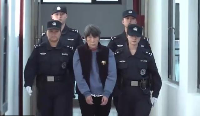 余华英被押入庭现场视频揭示的深刻启示，手铐背后的故事与启示