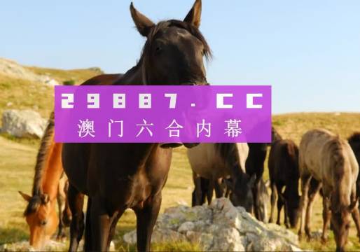 新澳门管家婆一肖一码_中美最新消息