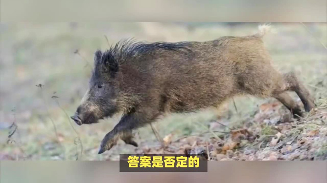 河南县城秘境