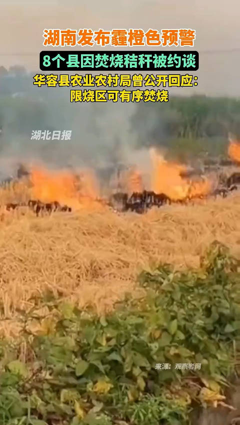 湖南某地秸秆焚烧政策引发关注，当地回应放开限制