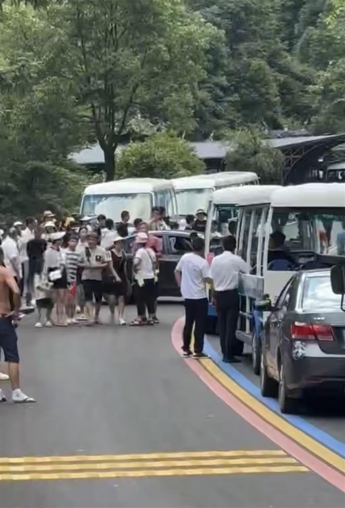 景区拦断国道收费引发争议，揭秘独特小店背后的故事