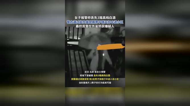 俩男子晴天打伞进小区，盗窃背后的力量与自信成就探究