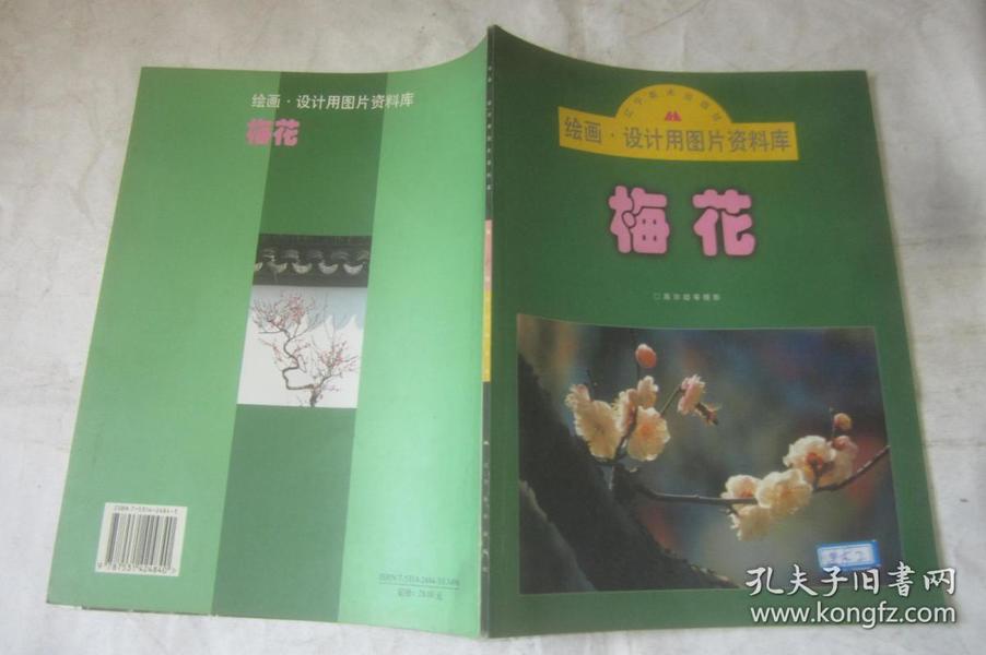 梅花三弄澳门资料库,灵活解答解释方案_解谜版1.657