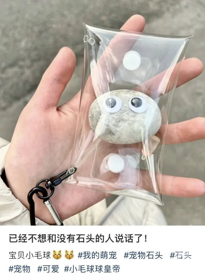 年轻人新型宠物选择
