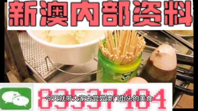 新澳内部资料精准一码，动态词语解释落实_GM版19.39.66