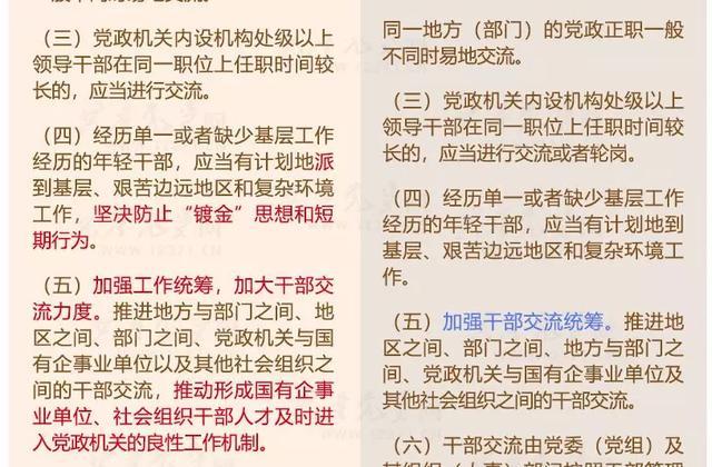三肖三码必中一刘伯温，效率资料解释落实_WP55.75.82