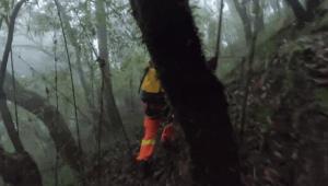 哀牢山神秘科考之旅，鸟鸣如人语