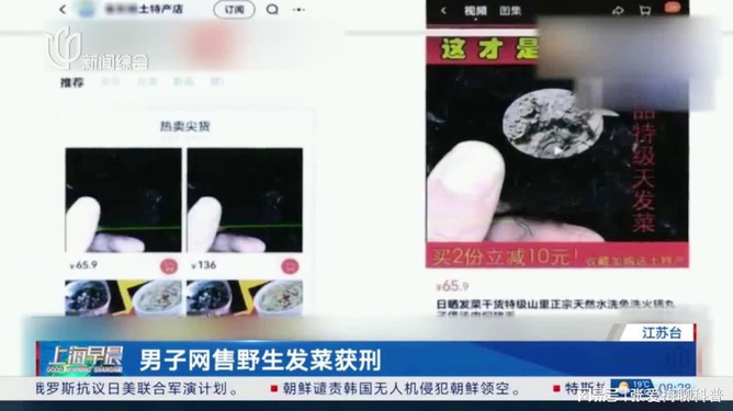 男子网售野生发菜获刑背后的变化、学习与励志力量挑战