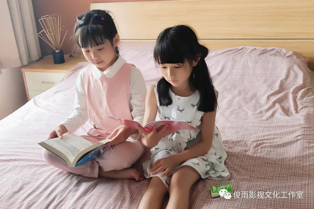 2024新澳正版免费资料大全，动态词语解释落实_V版87.48.64