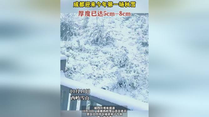 成都秋雪初降，科技为生活添彩