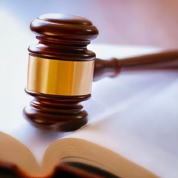 男子网售野生发菜触碰法律红线获刑