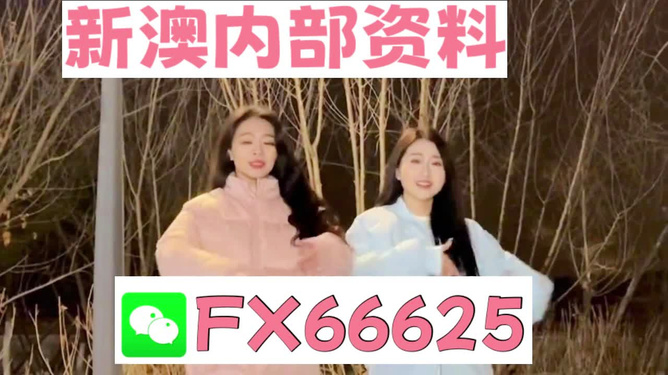 管家婆最准一码一肖100，动态词语解释落实_iShop24.17.43