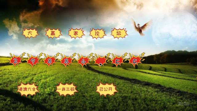 第3257页