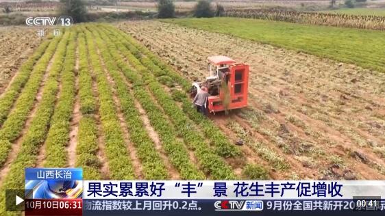 金秋硕果映笑颜，农民的丰收喜悦