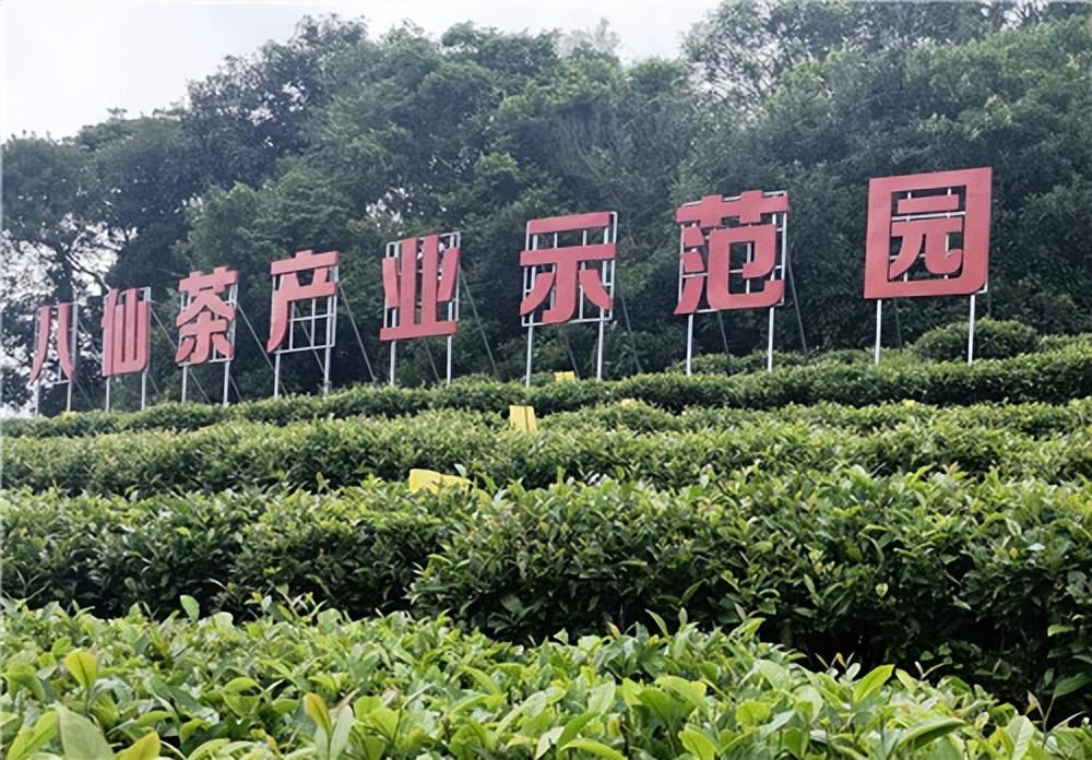 第3227页