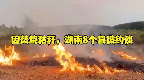 湖南焚烧秸秆监管问题，约谈事件解析与应对策略步骤指南