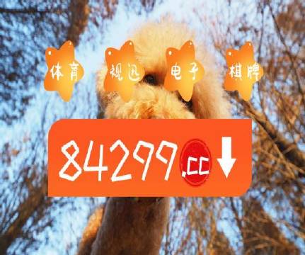 澳门天天开彩好正版挂牌,价值评估解析落实_XT18.421