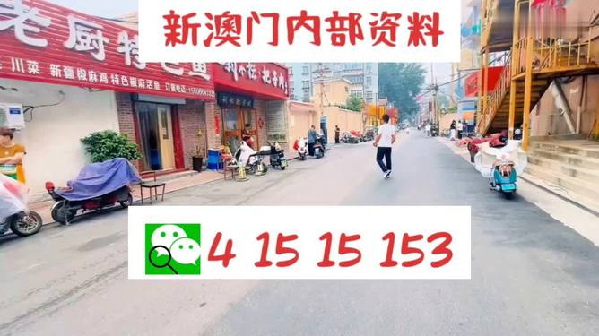 2024新澳门天天开好彩大全正版,资源整合策略_特别款35.441