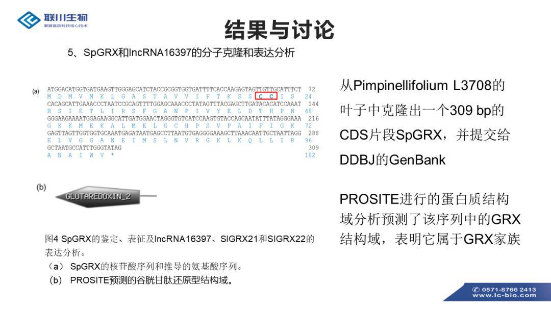 三期必开一期免费资料澳门,鉴别落实解答解释_kit15.851