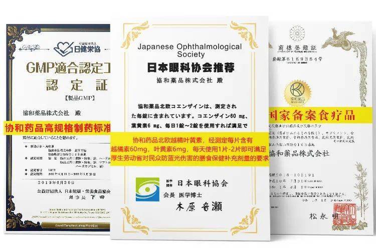 2024澳门天天开好彩免费资科,速效解答解释落实_kit97.622