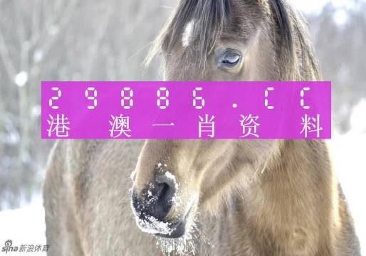 澳门精准一肖一码100%,实效性解答方案_精致型50.708
