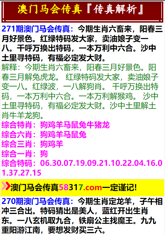 2024年新澳门马会传真资料全库,权治解答解释落实_虚拟集92.513