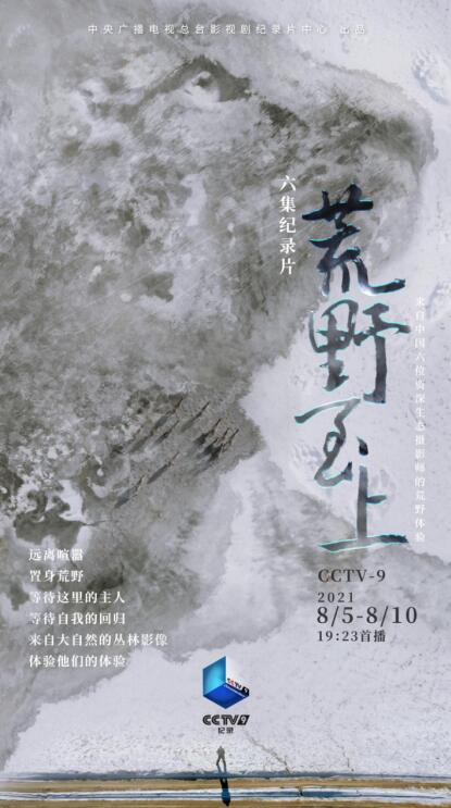 总书记尊老敬老情的心灵之旅