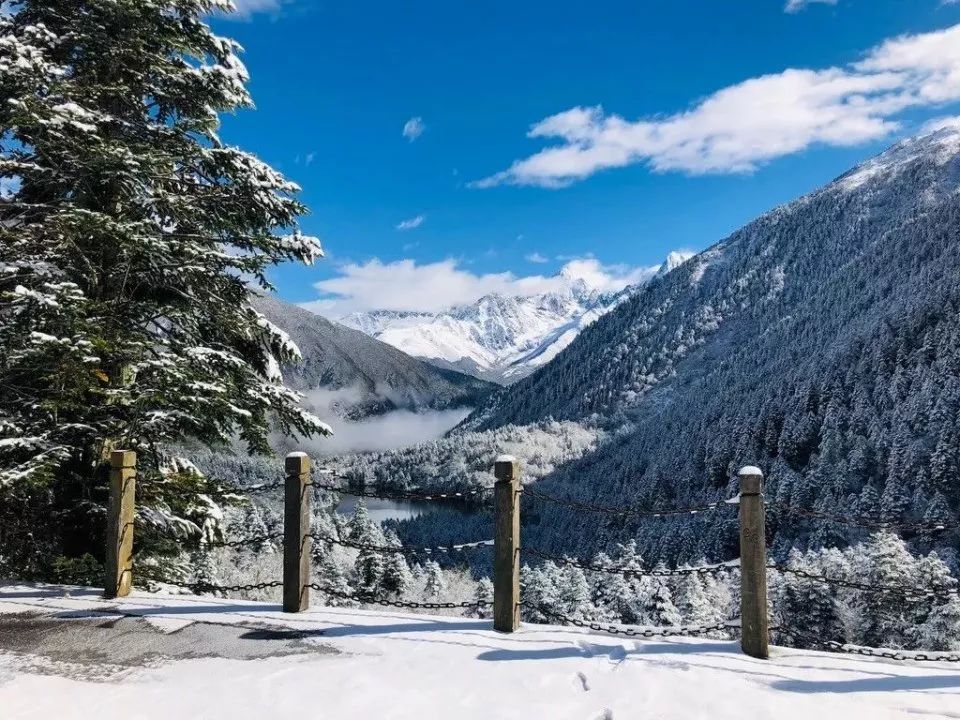 成都秋雪初降，美丽邂逅小巷特色小店