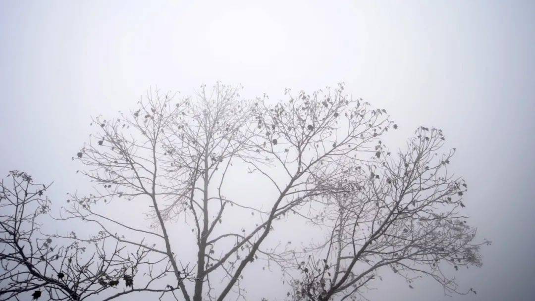 成都秋雪初降，美丽邂逅小巷特色小店