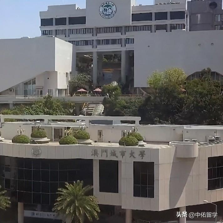 2024澳门天天开好彩大全正版,现状分析解释定义_T56.074