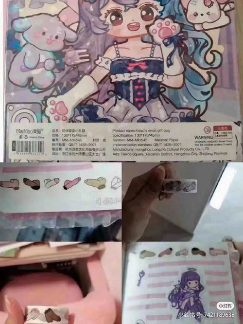 市民进入限制与考量分析