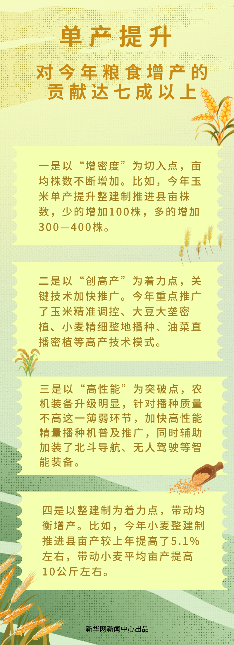 大国粮仓成绩单揭晓，小巷美食瑰宝闪耀登场