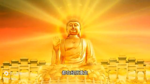 男子疑因妻子出轨医生自杀事件最新进展，自然之旅唤醒心灵觉悟的曙光