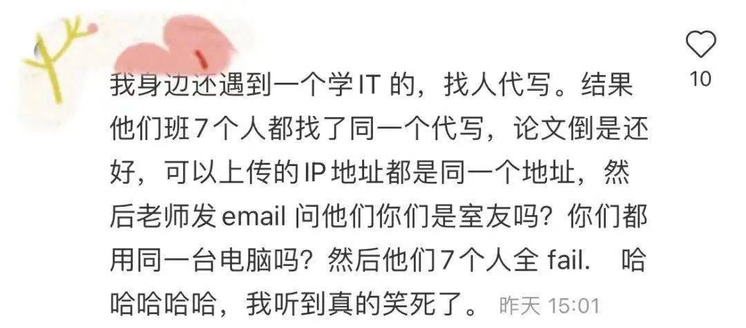 中国留学生寻求代写论文遭遣返，自然美景之旅的遗憾转折