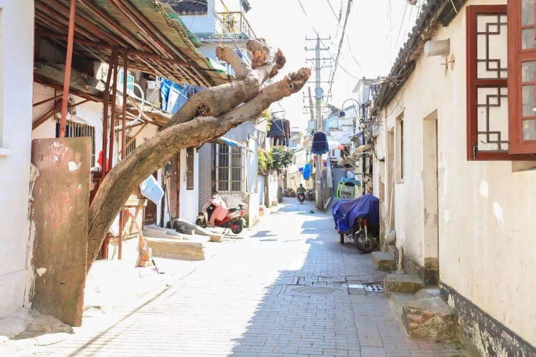 官方通报学生校外遭蒙头殴打事件，神秘小巷小店引发关注