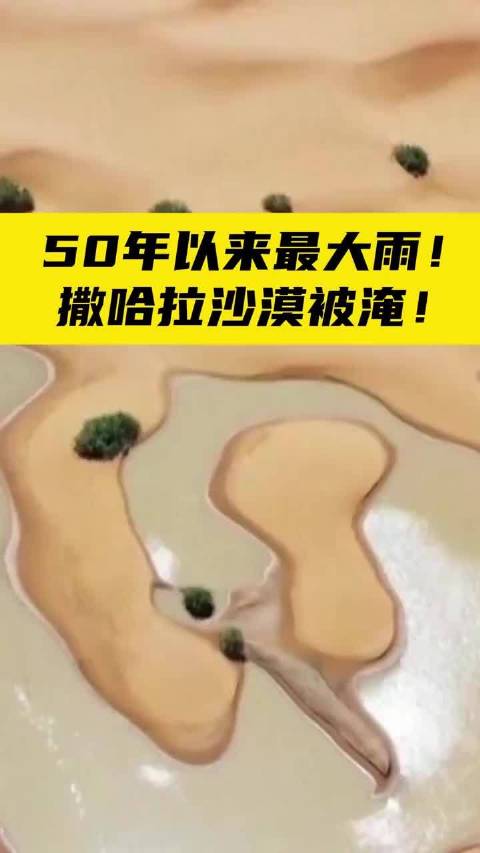 撒哈拉沙漠罕见洪水现象，沙漠中的水域奇观 🌊