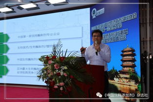事件深度解析与反思
